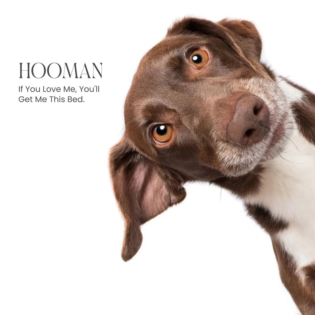 ROYALS RORE 2-in-1  Temperature-Regulating Dog Bed - Greystone