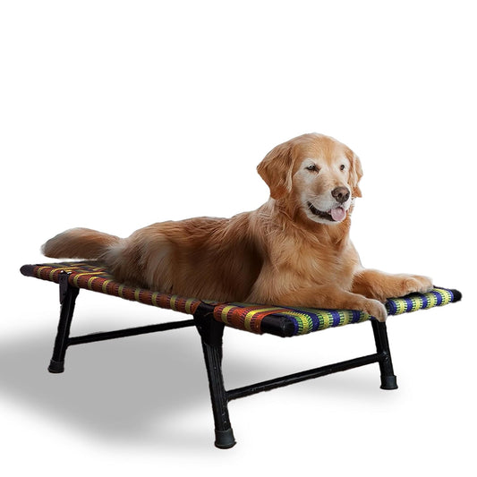 Royals Rore Leg Fold Pet Dog Bed Strong Quality Iron Frame With Strips Outdoor
