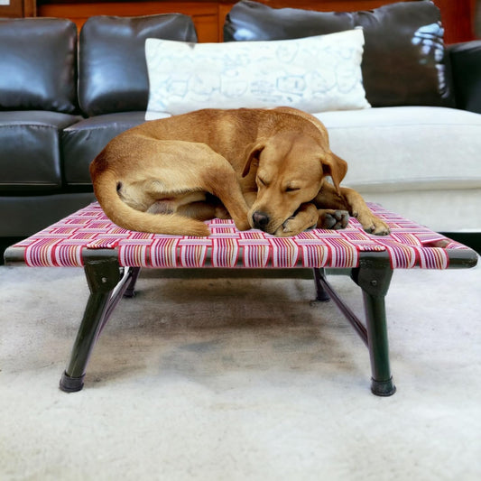 Royals Rore Leg Fold Pet Dog Bed Strong Quality Iron Frame With Strips Outdoor