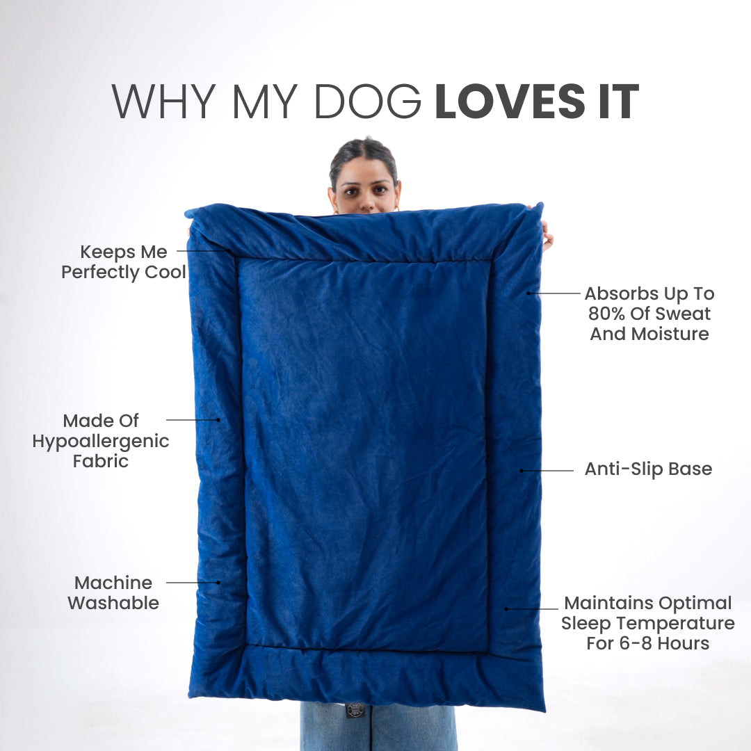 All Season Nap Bed - Royal Blue