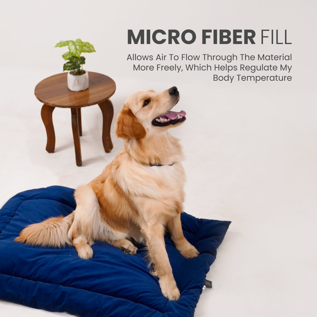 All Season Nap Bed - Royal Blue