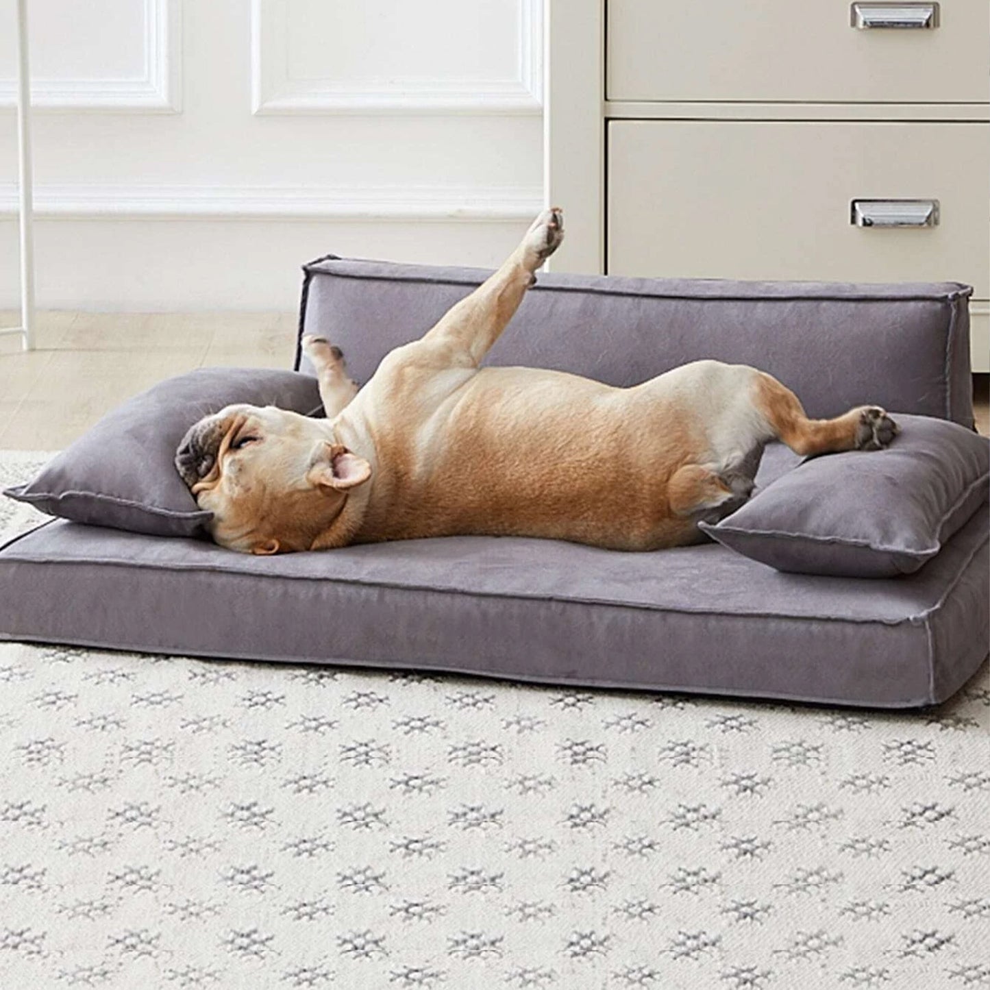 Royals Rore Orthopedic Dog Sofa Bed