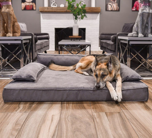 Royals Rore Orthopedic Dog Sofa Bed